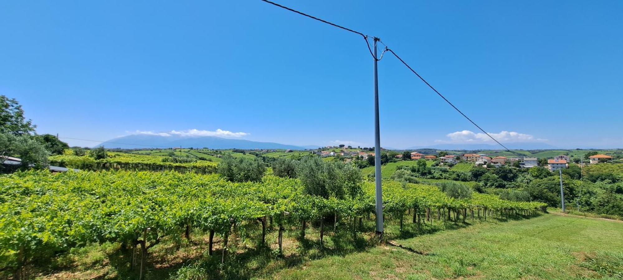 Bed & Breakfast Le Tre Rose